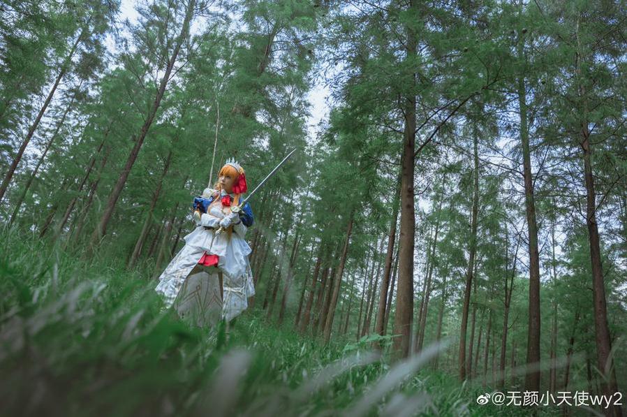 无颜小天使作品：cosplay的魅力，尽在这份作品合集中。